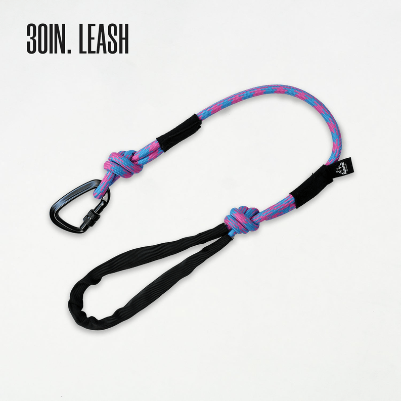 Elements Kernmantle Rope Leash - My Best Pet Life, LLC