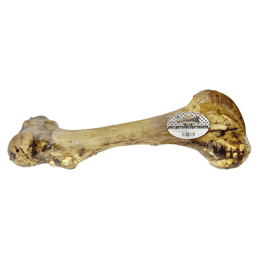 Femur Beef Bone - My Best Pet Life, LLC