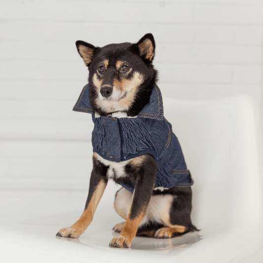 GF Pet Elasto-Fit Denim Dog Jacket - My Best Pet Life, LLC