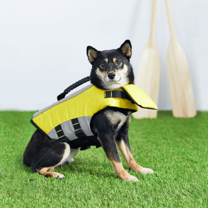 GF Pet Life Vest - My Best Pet Life, LLC