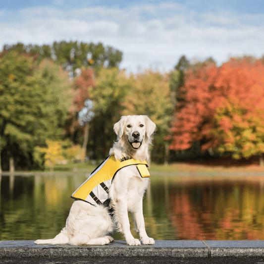 GF Pet Life Vest - My Best Pet Life, LLC