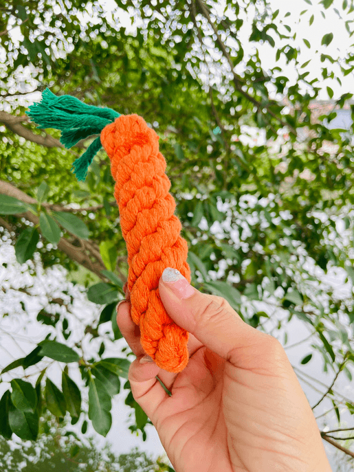 Handmade Sustainable Carrot Rope Chew Toy For Little Pet - My Best Pet Life, LLC