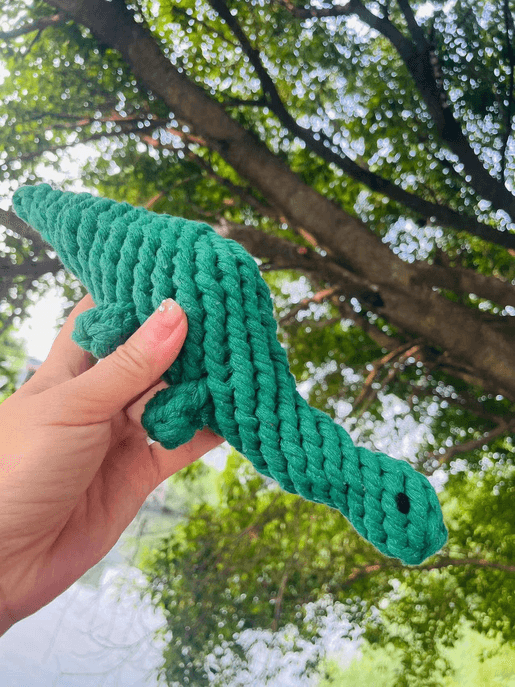 Handmade Sustainable Green Dinosaur Rope Toys - My Best Pet Life, LLC