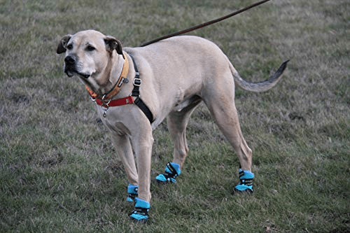 Healers Urban Walkers III Dog Booties - One Pair - Teal - Extra Large - My Best Pet Life, LLC