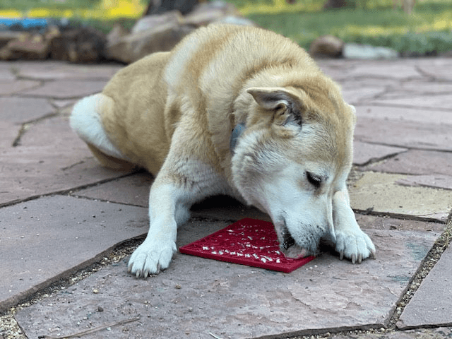 Heart Design "Love" eMat Enrichment Lick Mat - My Best Pet Life, LLC