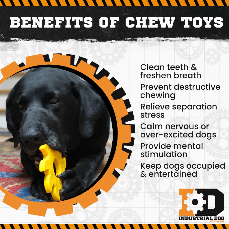 ID Circular Saw Blade Ultra Durable Nylon Dog Chew Toy for Aggressive Chewers - My Best Pet Life, LLC