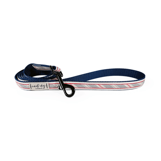 Liberty Patriotic American Woven Stripe Ribbon Dog Leash - My Best Pet Life, LLC