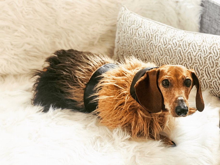 Mink Faux-Fur Vest - My Best Pet Life, LLC
