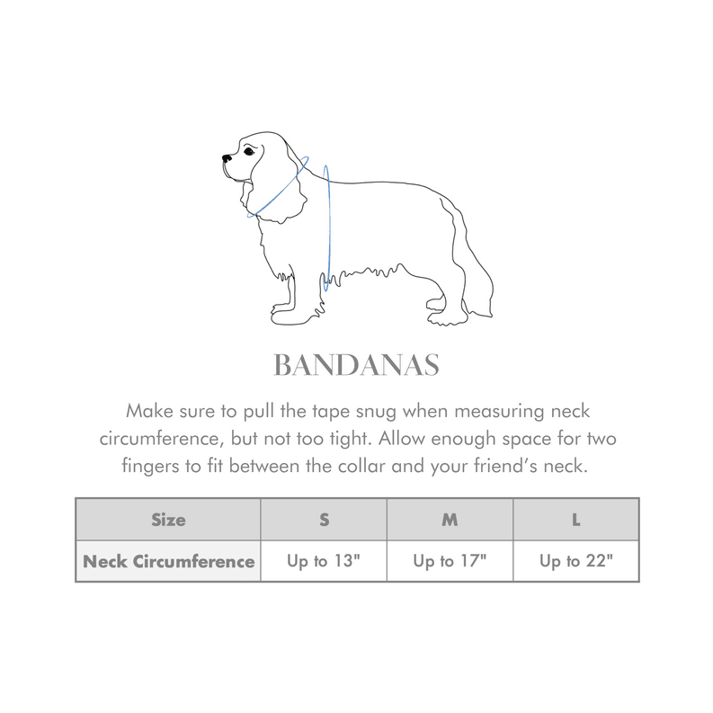 Mountain Stone Dog Bandana - My Best Pet Life, LLC