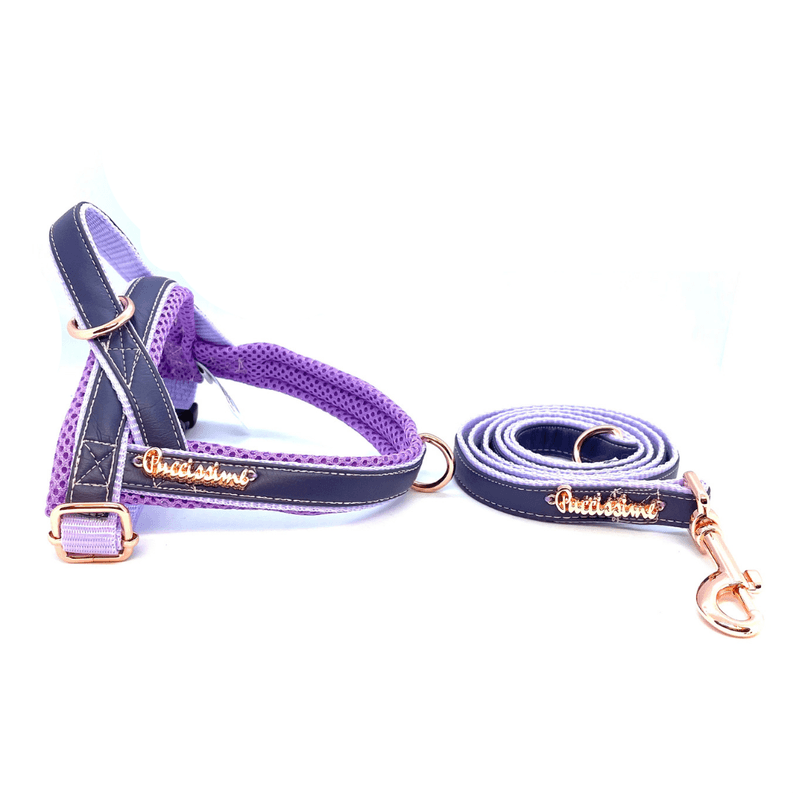 Orchid One-click dog harness - My Best Pet Life, LLC