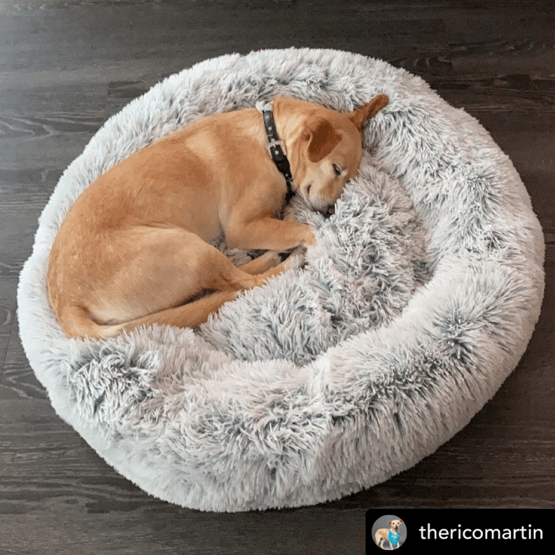 Ortho Plush Pet Bed - My Best Pet Life, LLC