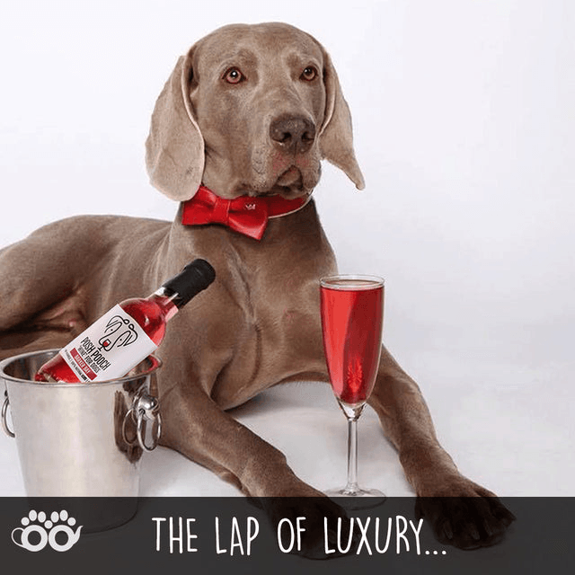 Posh Pooch Dog Wine Duo Pack - My Best Pet Life, LLC