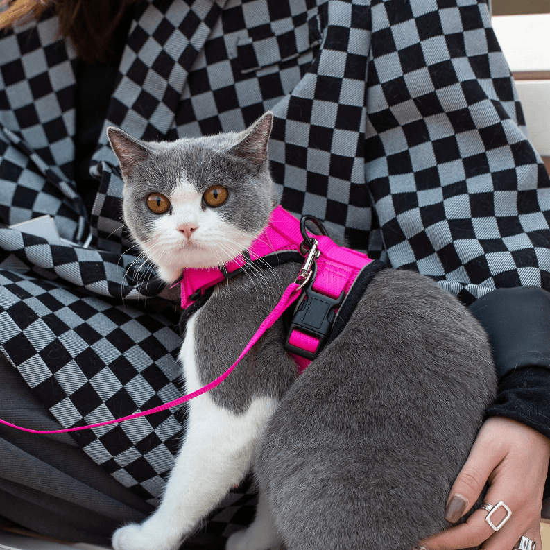 PurrTrek Reflective Cat Harness with Matching Leash - My Best Pet Life, LLC