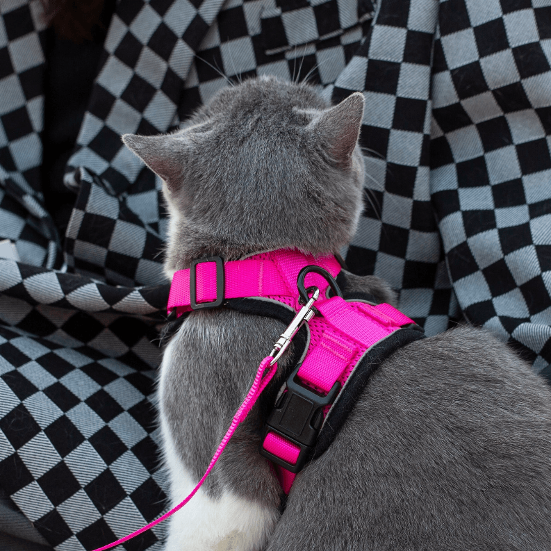 PurrTrek Reflective Cat Harness with Matching Leash - My Best Pet Life, LLC