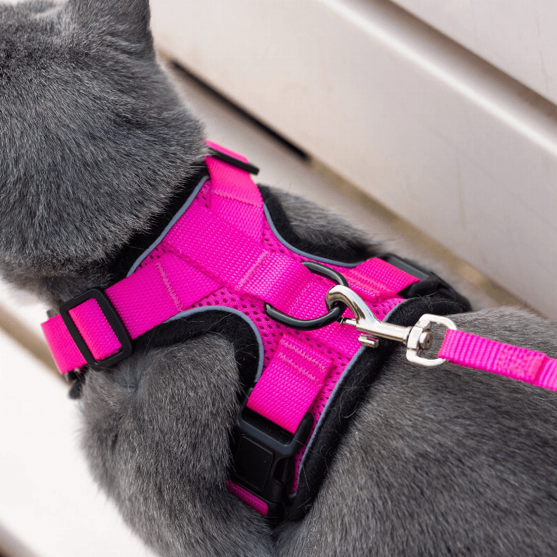 PurrTrek Reflective Cat Harness with Matching Leash - My Best Pet Life, LLC