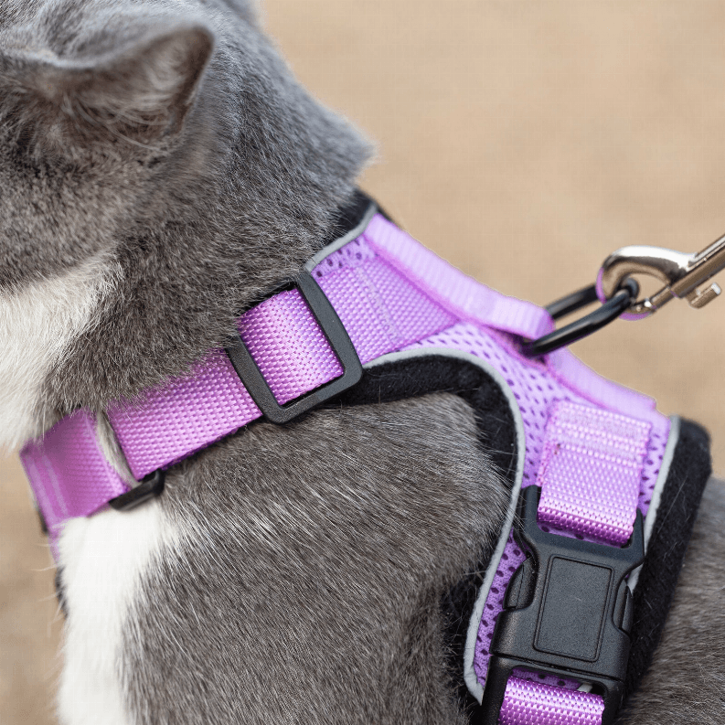 PurrTrek Reflective Cat Harness with Matching Leash - My Best Pet Life, LLC