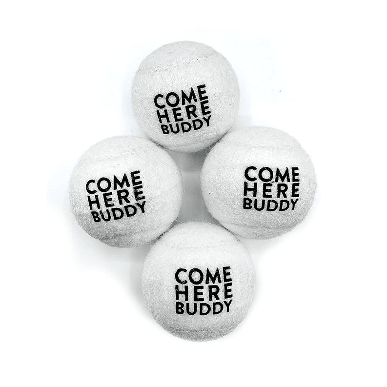 Set of 4 Come Here Buddy Tennis Balls in White - My Best Pet Life, LLC