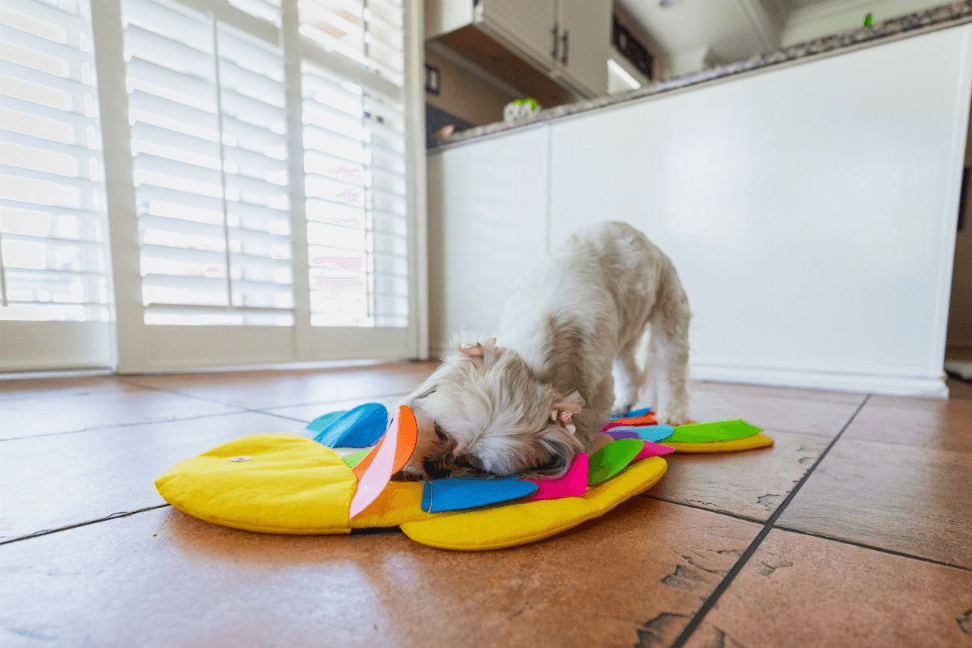 Snuffle Mat Cat and Dog Puzzle Pad - My Best Pet Life, LLC