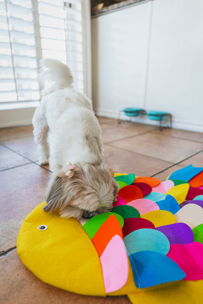 Snuffle Mat Cat and Dog Puzzle Pad - My Best Pet Life, LLC