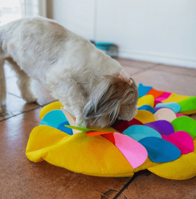 Snuffle Mat Cat and Dog Puzzle Pad - My Best Pet Life, LLC