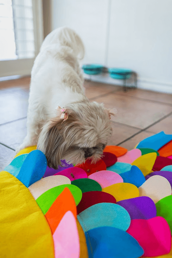 Snuffle Mat Cat and Dog Puzzle Pad - My Best Pet Life, LLC