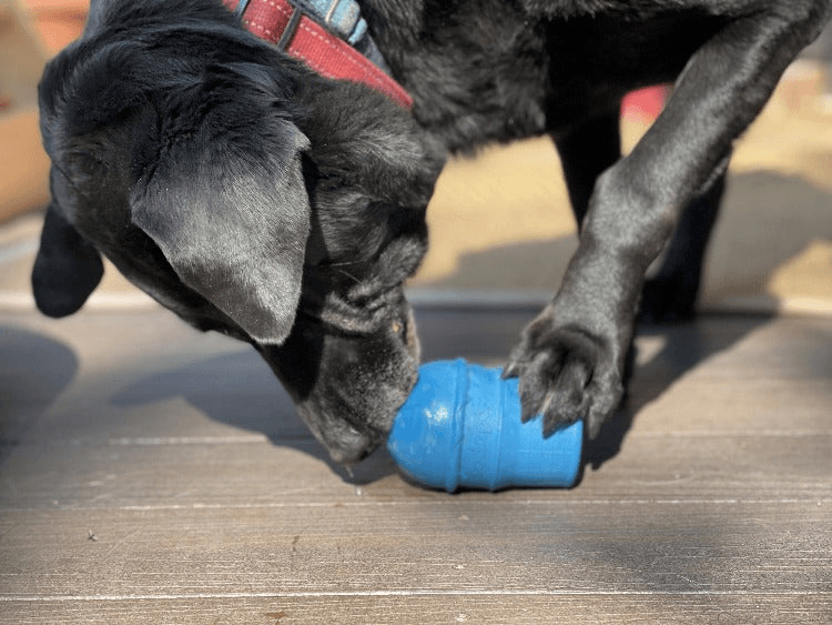 SP Ice Cream Cone Durable Rubber Chew Toy and Treat Dispenser - My Best Pet Life, LLC