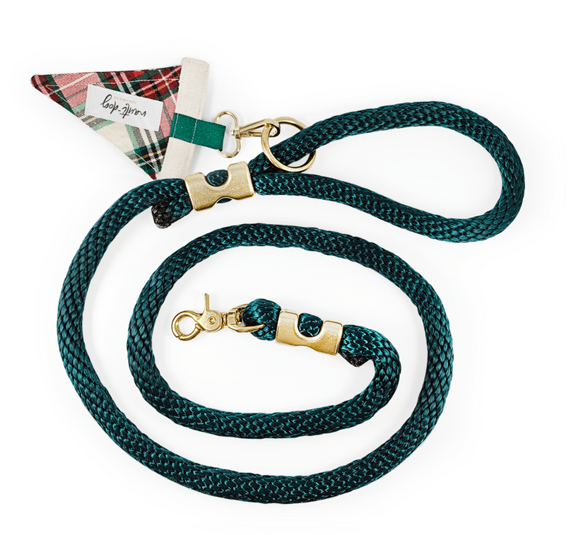 Sullivan Christmas Scottish Red & Green Tartan Plaid Premium Dog Leash - My Best Pet Life, LLC