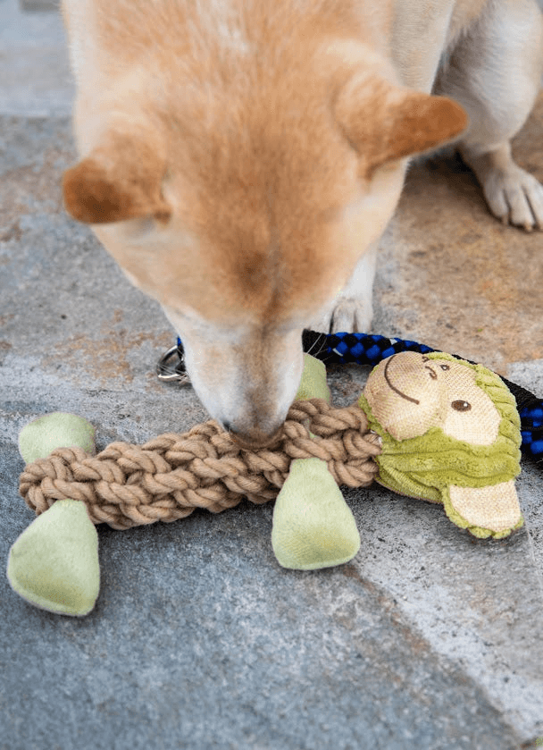 Tough Hemp Monkey Dog Toy - My Best Pet Life, LLC