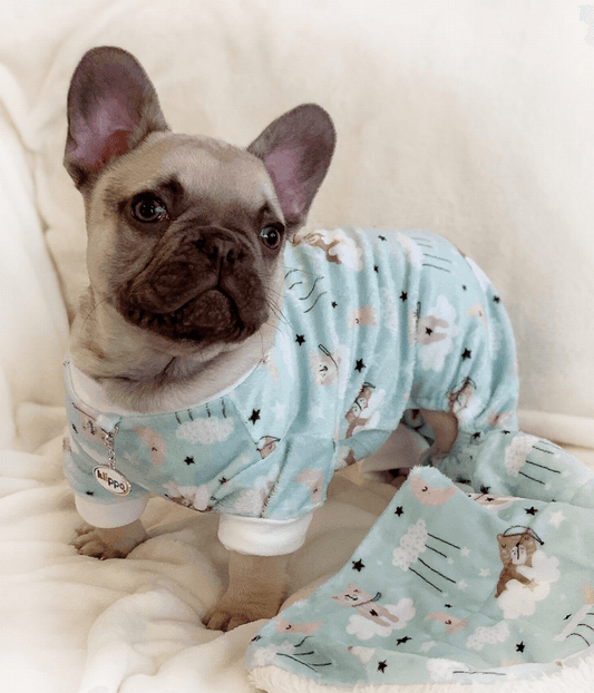 Ultra Soft Plush Minky Bedtime Bears Pajamas - My Best Pet Life, LLC